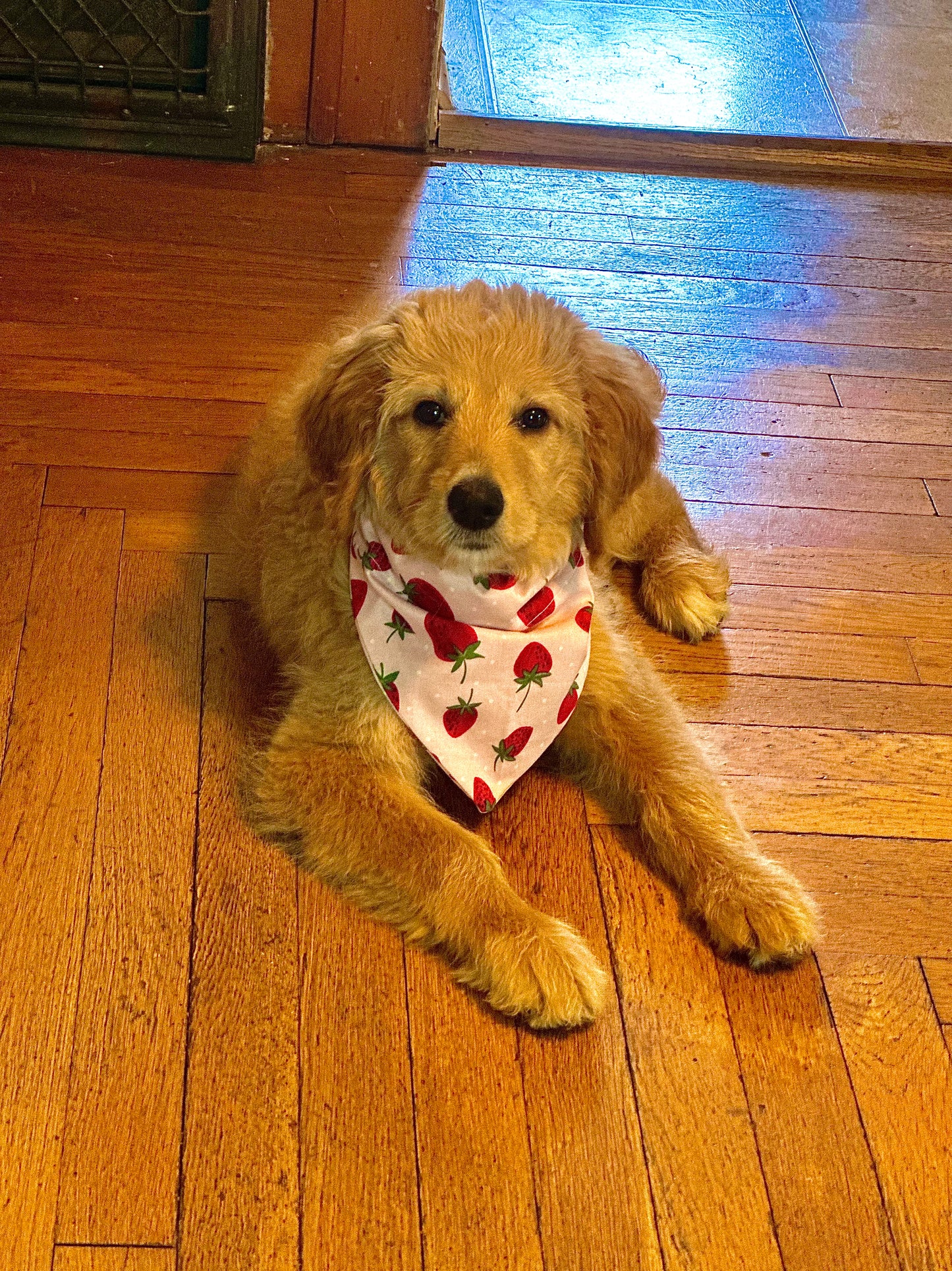 "Sweet Strawberry" Doggy Bandana